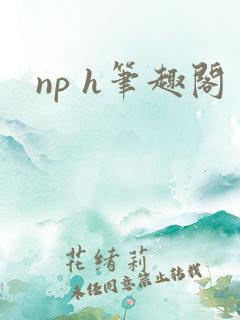 np h笔趣阁