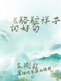《骆驼祥子》好词好句