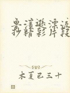 鲁滨逊漂流记摘抄精彩片段