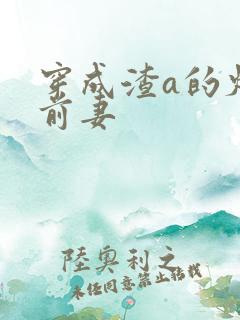 穿成渣a的炮灰前妻