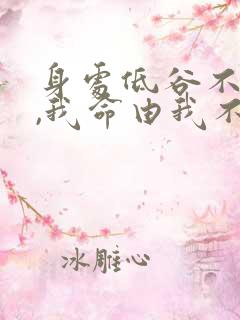 身处低谷不自弃,我命由我不由天翻译