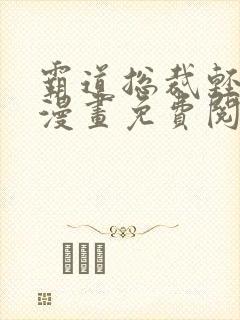 霸道总裁轻轻爱漫画免费阅读下拉式