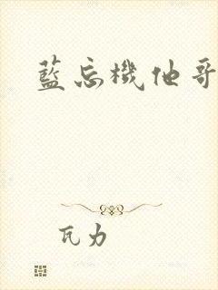 蓝忘机他哥叫啥