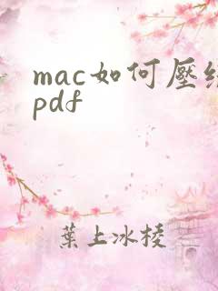 mac如何压缩pdf