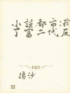 小说都市:我成了富二代反派小说