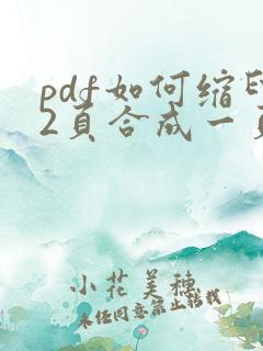 pdf如何缩印2页合成一页