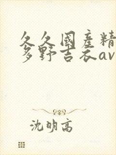 久久国产精品波多野吉衣av