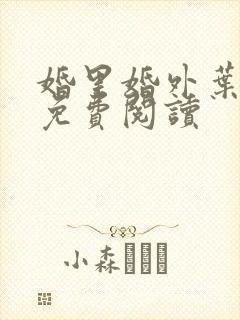 婚里婚外叶晓井免费阅读