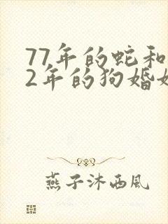 77年的蛇和82年的狗婚姻