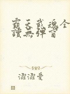 霸天武魂全文阅读无弹窗