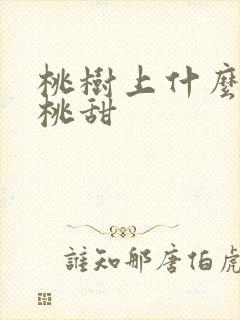 桃树上什么肥料桃甜