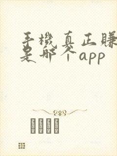 手机真正赚钱快是哪个app
