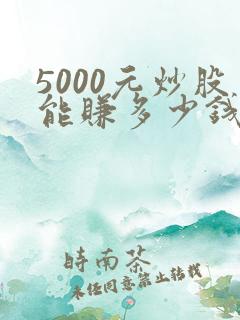 5000元炒股能赚多少钱