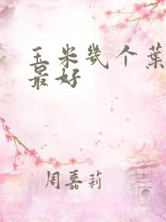 玉米几个叶追肥最好