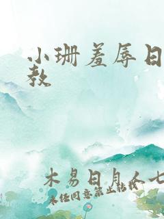 小珊羞辱日记调教