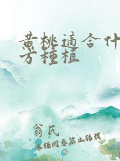 黄桃适合什么地方种植