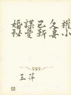 婚谋已久权少的秘爱新妻小说