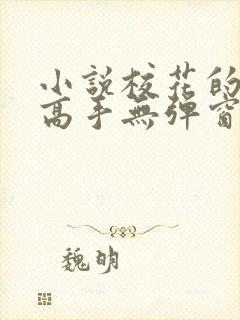小说校花的贴身高手无弹窗全文免费阅读