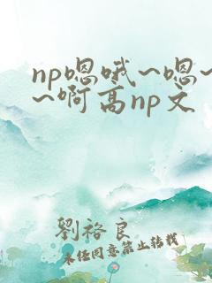 np嗯哦~嗯~~啊高np文