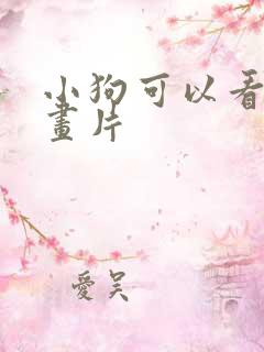 小狗可以看的动画片
