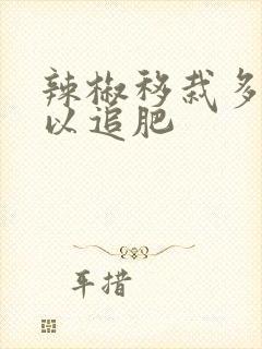 辣椒移栽多久可以追肥