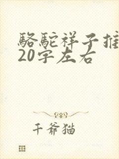 骆驼祥子推荐语20字左右