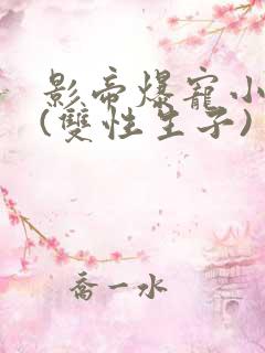 影帝爆宠小骚妻(双性生子)