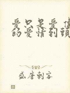 爱只是爱 伟大的爱情到头来也只是爱