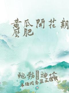 黄瓜开花期施什么肥