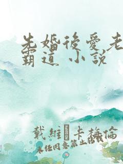 先婚后爱老公太霸道 小说
