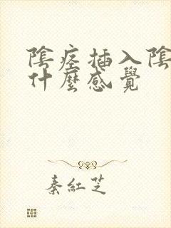 阴痉插入阴道是什么感觉