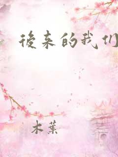 后来的我们导演