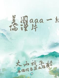 美国aaa一级伦理片
