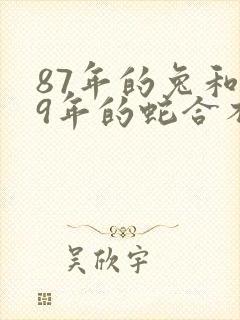 87年的兔和89年的蛇合不合