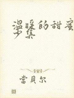 温暖的甜蜜的多少集
