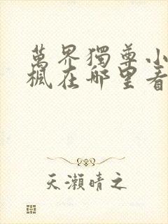 万界独尊小说林枫在哪里看