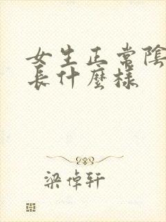 女生正常阴道口长什么样