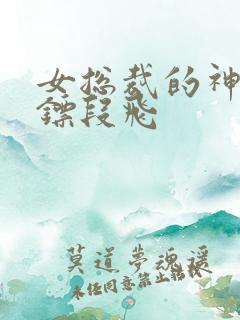 女总裁的神级保镖段飞
