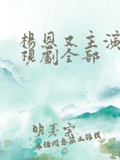 杨恩又主演的电视剧全部