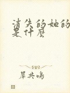消失的她的结局是什么