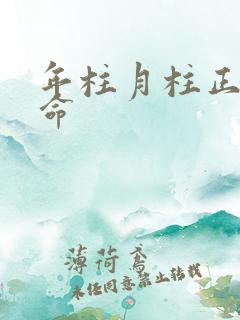 年柱月柱正财女命