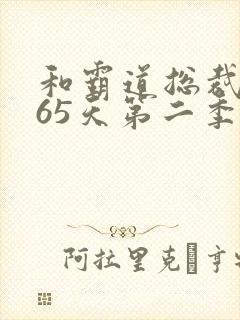 和霸道总裁的365天第二季