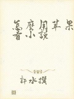 怎么用苹果手表看小说