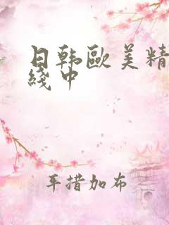 日韩欧美精品在线中