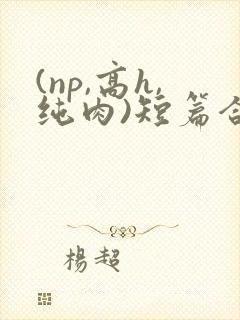 (np,高h,纯肉)短篇合集
