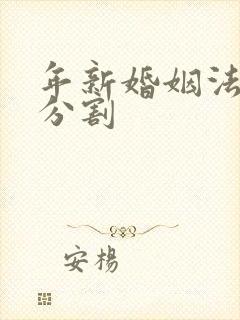 年新婚姻法房产分割