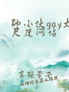 帅小伙gay大尺度网站