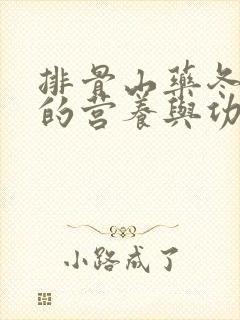排骨山药冬瓜汤的营养与功效