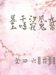 慕千汐凰九夜邪王嗜宠鬼医狂妃无弹窗