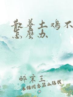 散养土鸡不下蛋怎么办